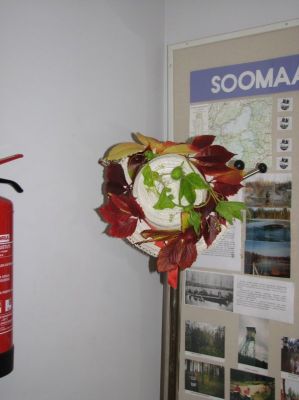 img_6041.jpg