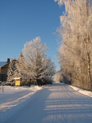 img_0176.jpg