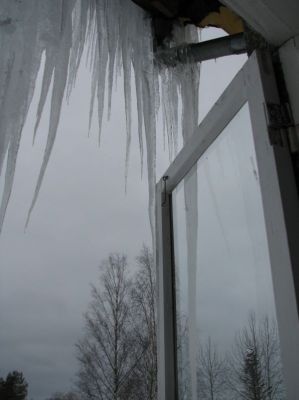img_2580.jpg