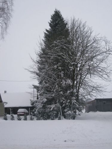 Ilus_lumi.JPG