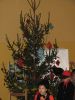 img_8292.jpg