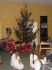 img_8293.jpg