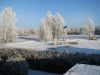 img_1564.jpg