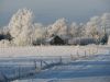 img_1575.jpg